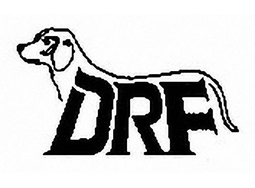 DRF