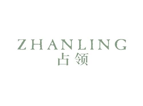 占领