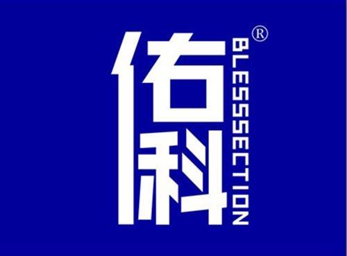 佑科 BLESSSECTION