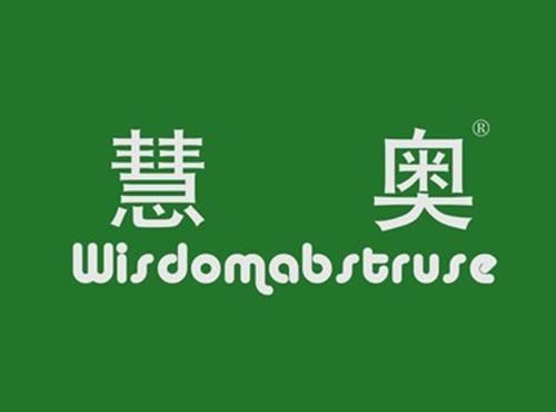 慧奥WISDOMABSTRUSE