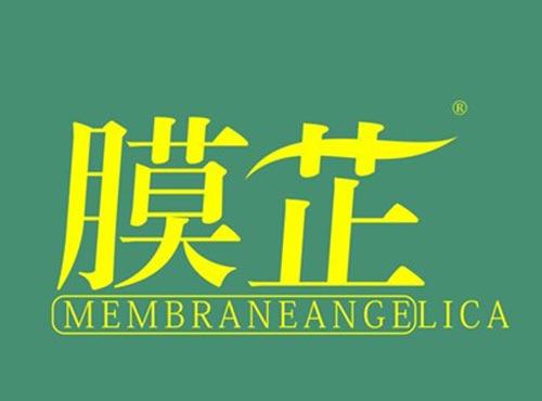 膜芷 MEMBRANEANGELICA