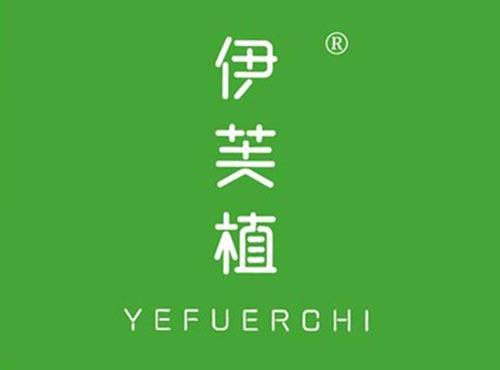 伊芙植YEFUERCHI