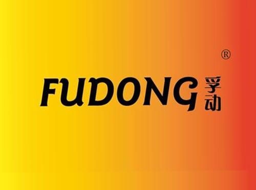 孚动