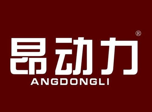 昂动力
