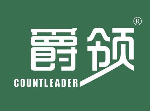 爵领 COUNTLEADER