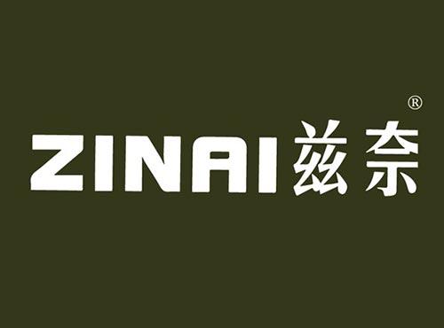 兹奈