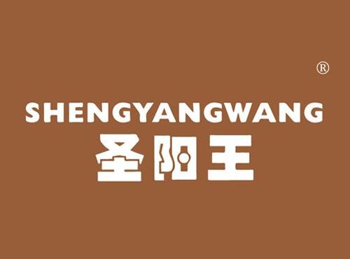 圣阳王