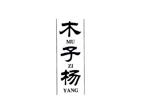 木子杨