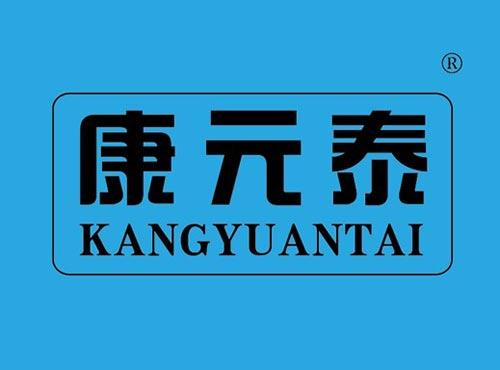 康元泰