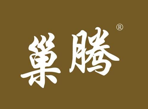 巢腾