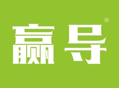赢导
