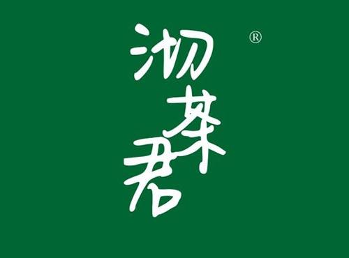 沏茶君