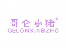 哥仑小猪GELUNXIAOZHU