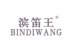 滨笛王BINDIWANG