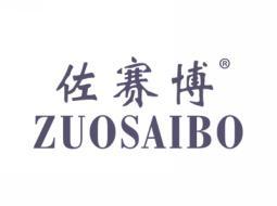 佐赛博ZUOSAIBO