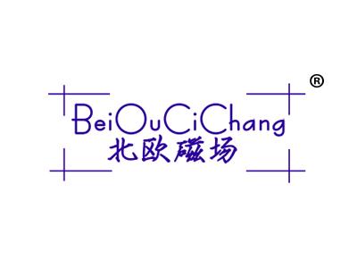 北欧磁场