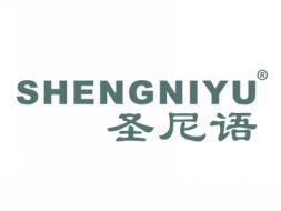 圣尼语SHENGNIYU