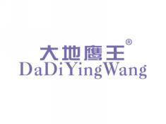 大地鹰王DADIYINGWANG
