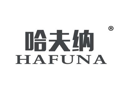 哈夫纳