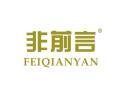 非前言FEIQIANYAN
