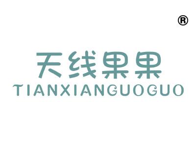 天线果果