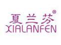 夏兰芬XIALANFEN