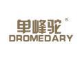 单峰驼DROMEDARY