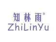 知林雨ZHILINYU