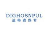 迪格森保罗 DIGHOSNPUL