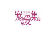 宠爱集