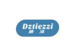 迪渍 DZTIEZZI