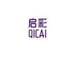 启彩