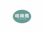 哈维熊