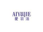 爱羽洁