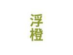 浮橙