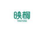 映桐