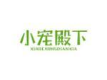 小宠殿下