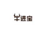 牛进宝