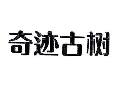 奇迹古树