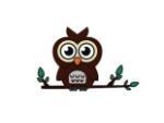 猫头鹰图形