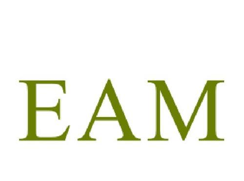EAM