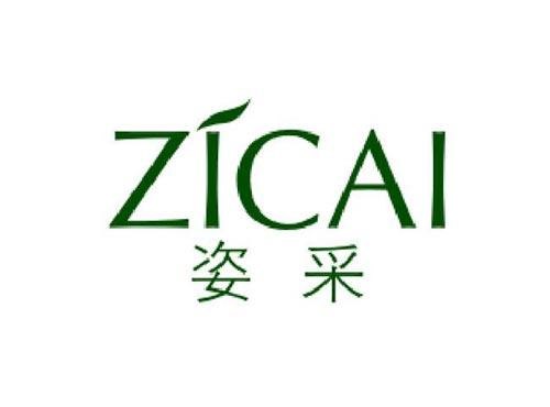 姿采