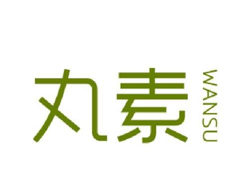 丸素