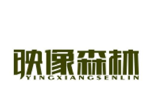 映像森林