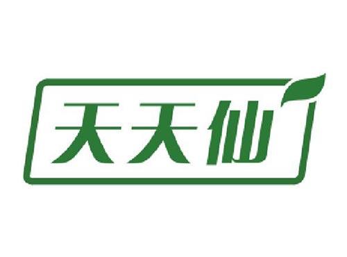 天天仙