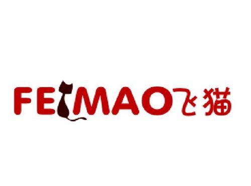 飞猫