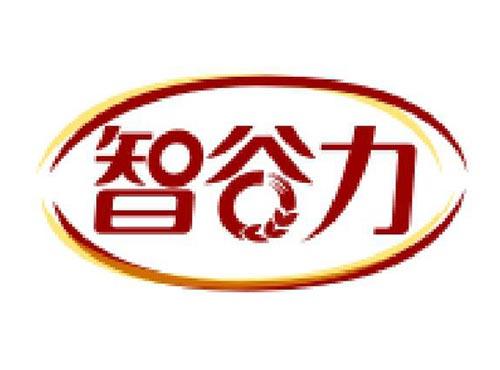 智谷力