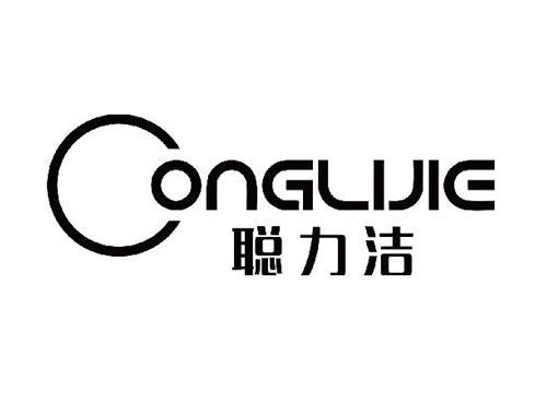 聪力洁