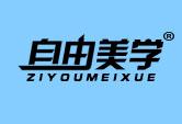 自由美学