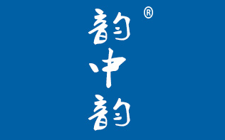 韵中韵